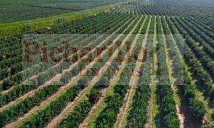 Fazenda para Venda em Marília, Centro, 5 dormitórios, 5 suítes, 5 banheiros