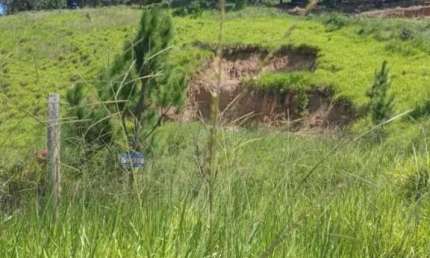 Terreno para Venda em Itapevi / SP no bairro Parque Mira Flores - 3024-3640153