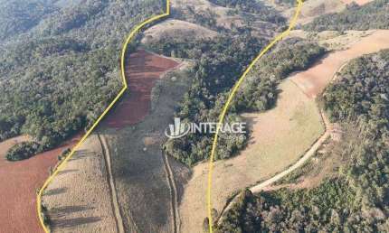 Terreno à venda, 209000 m² por R$ 1.500.000,00 - Ouro Fino de Baixo - Campo Magro/PR