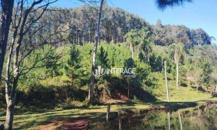 Terreno à venda, 1 m² por R$ 3.500.000 - Campo Largo - Campo Largo/Paraná
