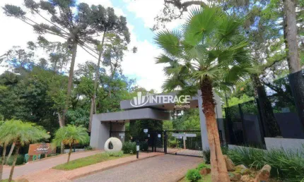 Terreno à venda, 1118 m² por R$ 2.150.000,00 - Santa Felicidade - Curitiba/PR