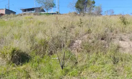 Lindo Terreno Pronto para Construir em Residencial Altos do Campo