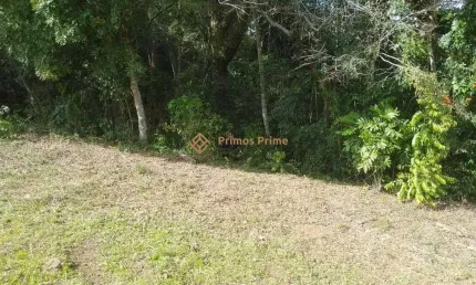 TERRENO A 50 MTS DA BR 476 - MARIENTAL - LAPA - PR - R  160.000,00
