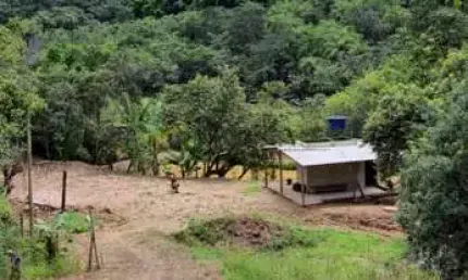 Chácara / sítio à venda na Zona Rural, Igarapé 