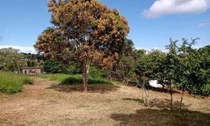 Chácara / sítio com 2 quartos à venda na Zona Rural, Itatiaiuçu 