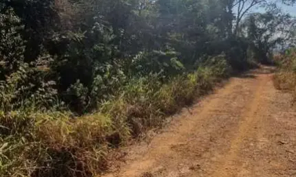 Chácara / sítio à venda no Bom Jardim, Mário Campos 