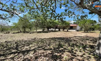Chácara residencial para Venda no Tomba, Feira de Santana, 4 quartos, 1 sala, 2 banheiros 60mil m² área total.