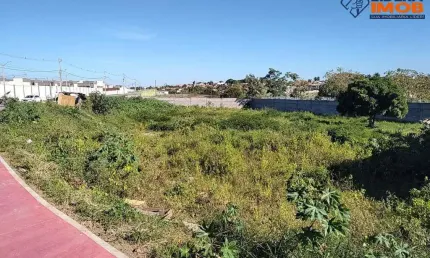 Terreno para Venda, no Papagaio, Feira de Santana, Pavimentado, 5.548m² área total