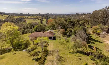 Chácara / sítio com 3 quartos à venda na Estrada De Santa Cruz, Sem númer, Três Córregos, Campo Largo
