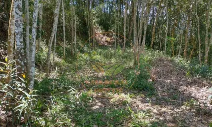 Oportunidade! área excelente com 27.000m² em nazaré paulista - sp  ar00078