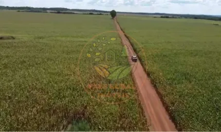 OPORTUNIDADE! FAZENDA EM TOCANTINS COM 840 ALQUEIRES