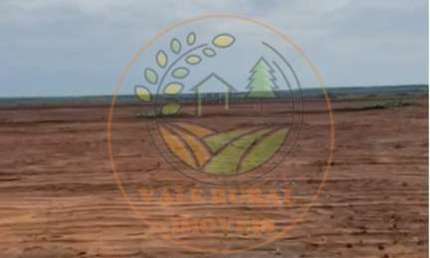 FAZENDA de 714 ALQUEIRES A VENDA EM LAGOA DO TOCANTINS FA00140
