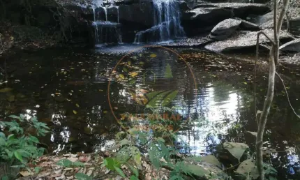 LINDA FAZENDA DE 94 ALQUEIRES MUNICÍPIO DE SANTA BÁRBARA DE GOIÁS FA00138