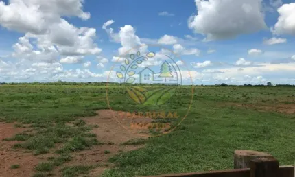 OPORTUNIDADE! FAZENDA NO TOCANTINS COM 970 ALQUEIRES FA00136
