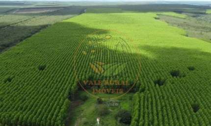 LINDA FAZENDA DE  550 ALQUEIRES EM CATALÃO GO! FA00132