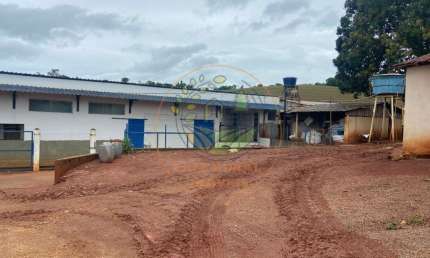 FAZENDA DE 47 HECTARES Á VENDA EM MINAS GERAIS - FA00125