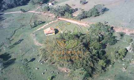 SÍTIO COM NASCENTE E POMAR EM MINAS GERAIS - ST00142
