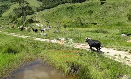 INCRÍVEL FAZENDA COM NASCENTES E ÁGUA CRISTALINA NO RJ - FA00121