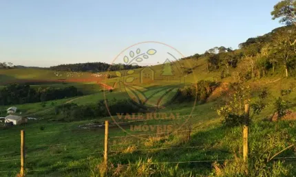 EXCELENTE SÍTIO COM NASCENTE E MATA NATIVA EM SÃO LOURENÇO MG - ST00131