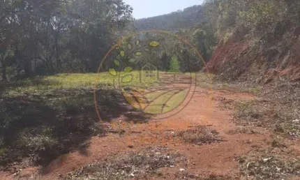 AREA DE 21.000 M² COM NASCENTE EM MONTEIRO LOBATO-  AR00063