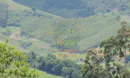 OPORTUNIDADE EM CUNHA! ÁREA RURAL COM MAIS DE 32.000 PÉS DE EUCALIPTO! AR00062