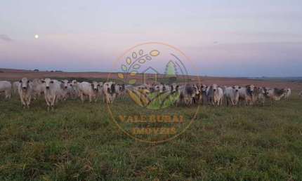 RARIDADE! MARAVILHOSA FAZENDA DE 1.172 ALQUEIRES COM FÁBRICA DE RAÇÃO E PISTA DE POUSO EM SP! FA00102