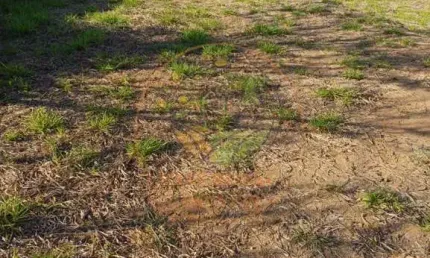 Terreno à venda no Centro, Caçapava 