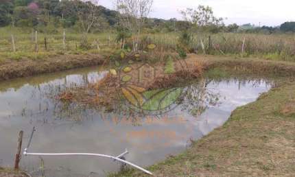 CHÁCARA EM CAÇAPAVA DE 7.017,52 M² COM CASA DE LAJE, TANQUE DE PEIXES E POMAR! CH00188