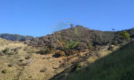 Excelente  sítio de 6 alqueires com nascente e pasto! st00085