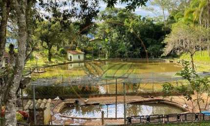 MARAVILHOSA CHÁCARA DE 54.000 M² EM MONTEIRO LOBATO! MUITA ÁGUA! CH00178