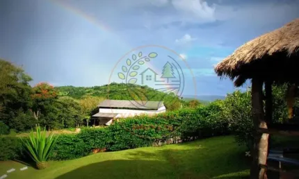 MARAVILHOSA FAZENDA E PECUÁRIA DE CAFÉ COM 101 HECTARES NO SUL DE MINAS! FA00070
