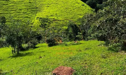 Excelente área rural em jambeiro com 22.500 m² e muita água! ar00041