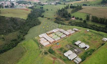 EXCELENTE ÁREA ESCRITURADA COM 35 HECTARES, MUITA ÁGUA E 19 BARRACÕES! AR00038