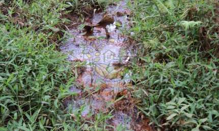 MARAVILHOSA ÁREA COM 6,37 HECTARES E MUITA ÁGUA NO SUL DE MINAS! AR00037