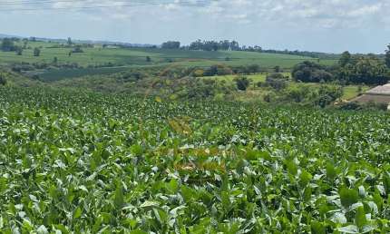 MARAVILHOSA FAZENDA COM TOPOGRAFIA MUITO BOA, PLANTAÇÃO DE SOJA E FACILIDADE NO PAGAMENTO!