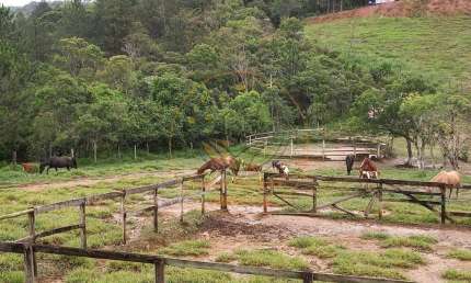 EXCELENTE SÍTIO - HARAS FORMADO COM 114.700 M² EM MOGI DAS CRUZES COM MUITAS BENFEITORIAS! ST00061