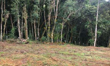 IMPERDÍVEL! TERRENO EM CAMPOS DO JORDÃO COM 3.307 M², ABAIXO DO VALOR DE MERCADO E ÓTIMA LOCALIZAÇÃO! AR00026