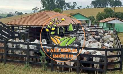 RARIDADE! FAZENDA NO SUL DE MINAS DE  143 HECTARES, COM ESTRUTURA COMPLETA PARA BOIS DE CORTE!  FA00025