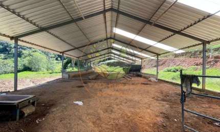 FAZENDA EM LAGOINHA- SP COM APROXIMADAMENTE 40 ALQUEIRES DE EUCALIPTO + ESTRUTURA PARA PECUÁRIA! FA00016