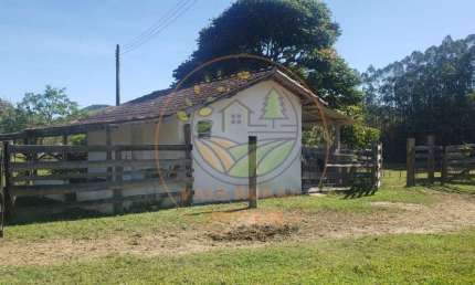FAZENDA EM NATIVIDADE DA SERRA COM MUITA PASTAGEM E APROPRIADA PARA PECUÁRIA!    FA00015