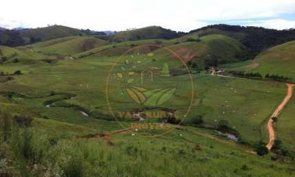 ÓTIMA FAZENDA EM SILVEIRAS DE 106 ALQUEIRES, COM MUITO PASTO E EUCALIPTO -  FA00012