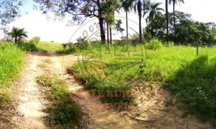 RARIDADE! FAZENDA EM TIROS- MG DE 118 HECTARES !  FA00004
