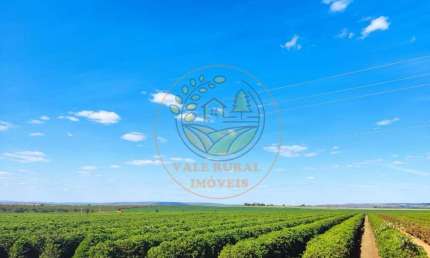 FAZENDA PARA AGRICULTURA COM 470 HECTARES NA  REGIÃO DE PATOS DE MINAS - MG  FA00169