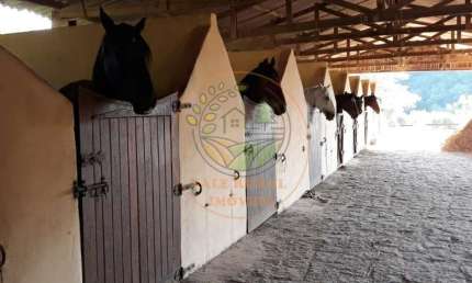 OPORTUNIDADE! MARAVILHOSO HARAS DE 50.000M² EM GUARAREMA - SP  HA00006