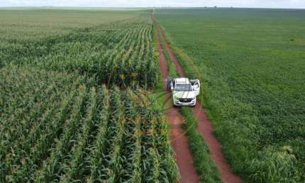 EXCELENTE FAZENDA DE 3.204 HECATRES  EM DARCINÓPOLIS - TO  FA00173