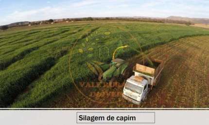 MARAVILHOSA FAZENDA  DE 8.503,87 HECTARES EM MONTES CLAROS - MG  FA00180