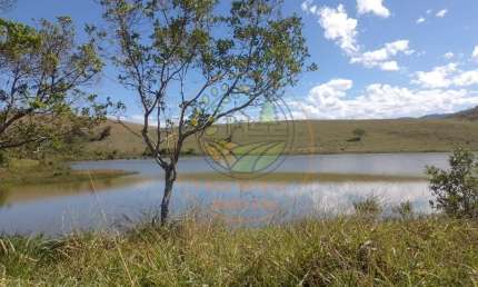 ÓTIMO SITIO DE 25 ALQUEIRES  COM TOPOGRAFIA PLANA EM CAÇAPAVA - SP  ST00186