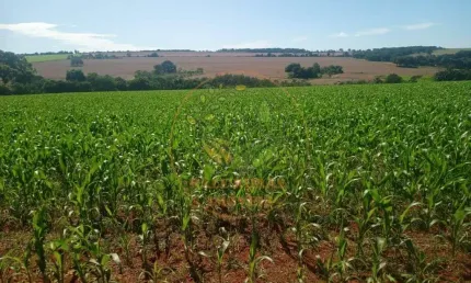EXCELENTE FAZENDA DE 69 ALQUEIRES EM PIRACANJUBA DE GOIÁS  FA00194