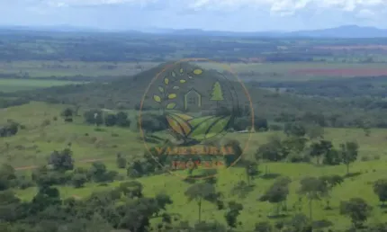 Fazenda de 102 alqueires na região do são patrício- go  fa00193