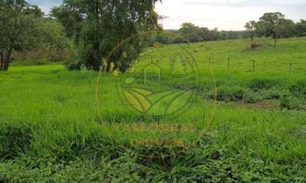 EXCELENTE FAZENDA DE 53 ALQUEIRES EM RIO QUENTE-GO FA00192